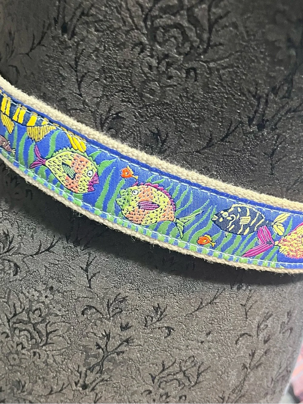 The belted cow this belt